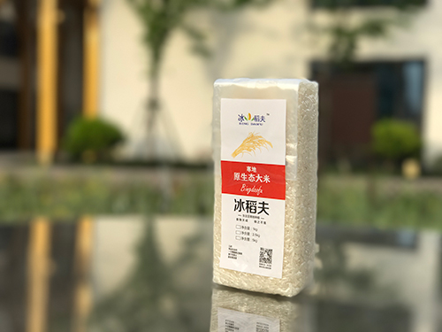 米砖系列